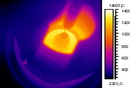 Flir Thermography